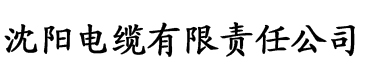 六零之组织给我做媒电缆厂logo